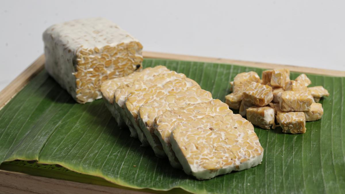 Tips Memilih Tempe Berkualitas dan Manfaatnya untuk Kesehatan