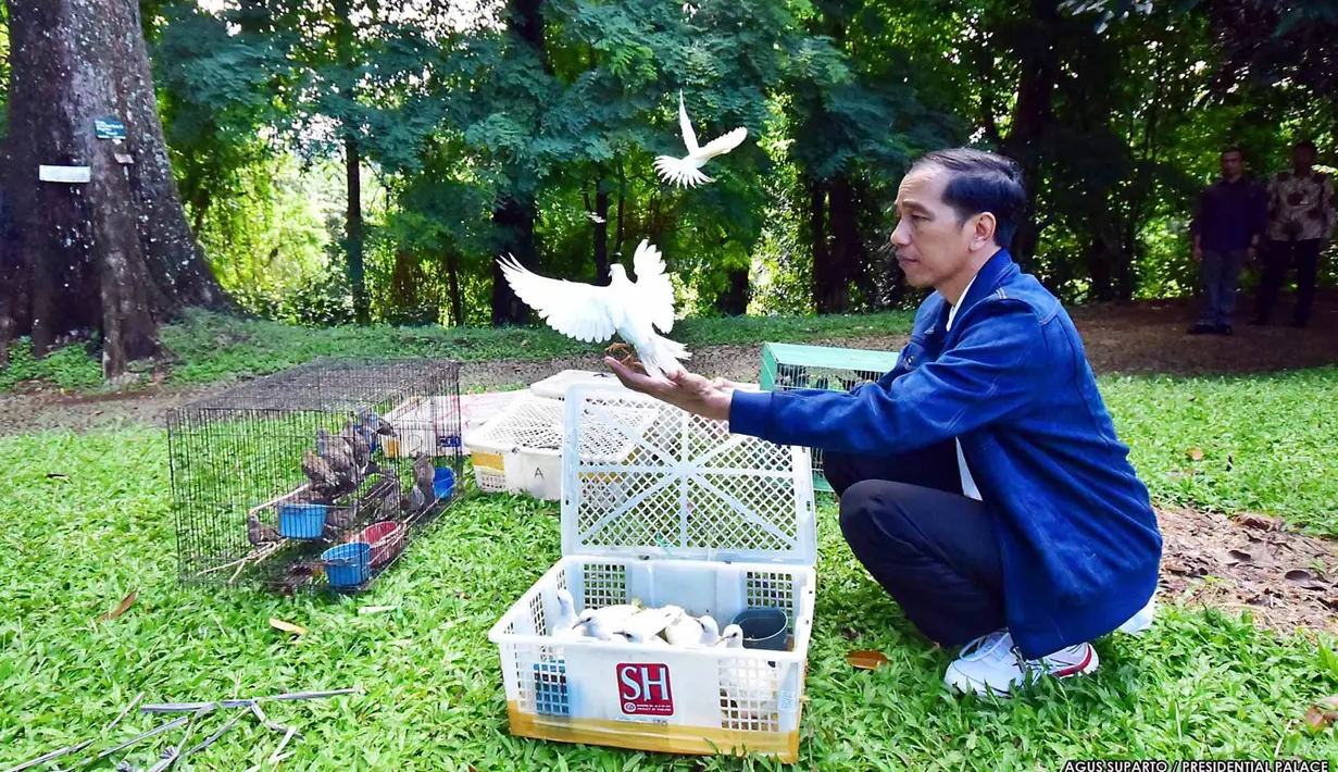 Presiden Jokowi melepas sejumlah ekor burung di lingkungan Istana Kepresidenan, Bogor, Minggu, (2/1). Presiden mengadakan acara pribadi berupa pelepasan satwa yaitu kodok,burung dan biawak di halaman depan Kompleks Istana. (Setpres-Agus Suparto)