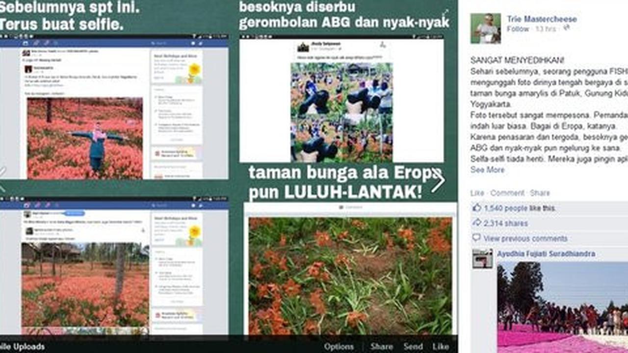 Gara-gara selfie ala Syahrini, taman bunga di Yogya rusak parah