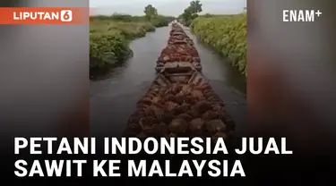 Petani Indonesia Jual Sawit ke Malaysia