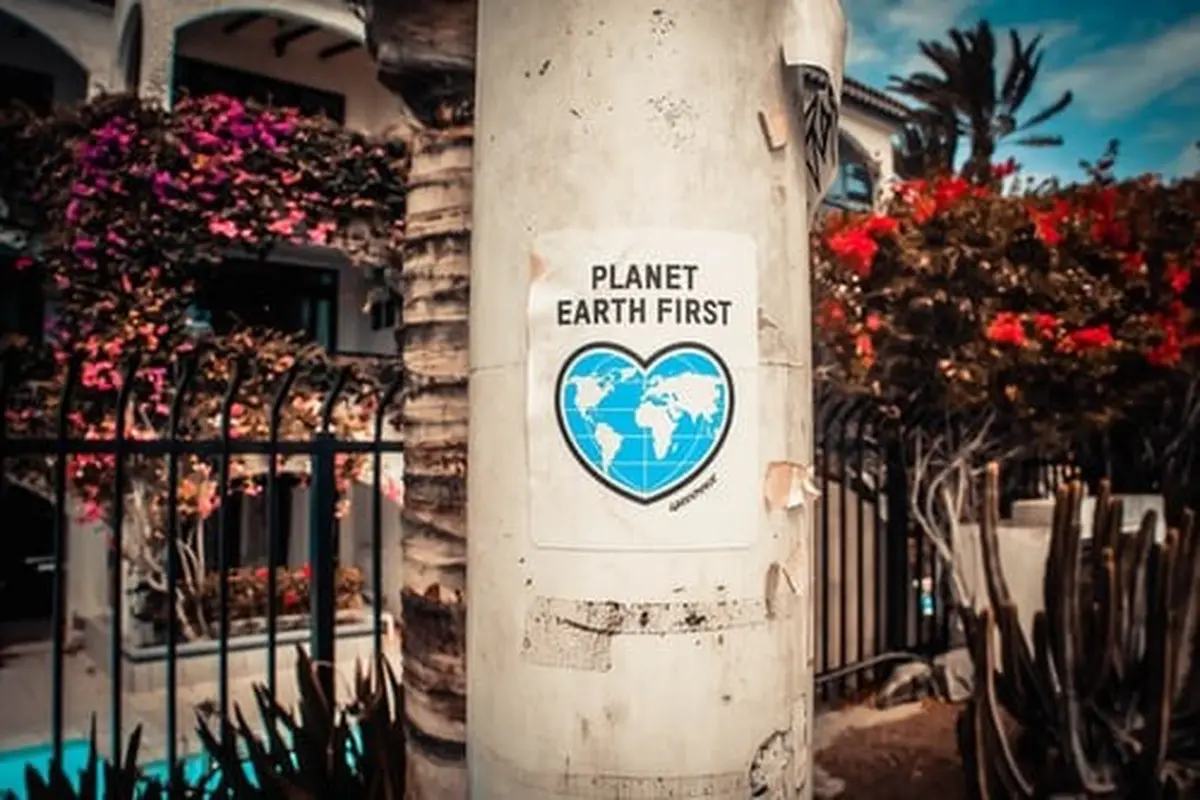 earth hour