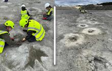 Lihat Tonjolan Kecil di Tanah Liat, Pekerja Tambang Temukan Situs Jejak Kaki Dinosaurus Terbesar di Inggris