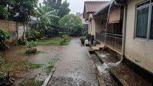 7 Tanda Drainase Halaman Rumah Tidak Mampu Menampung Air Hujan yang Perlu Diwaspadai