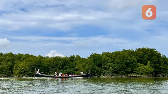 Harta Karun Warga Pasar Rawa di Langkat Sumut dari Merawat Hutan Mangrove, Bisa Produksi Gula Nipah hingga Kripik Ikan Balendah