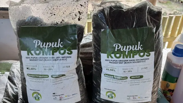 Pupuk kompos organik berbasis bekas magot.