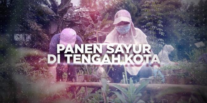 VIDEO BERANI BERUBAH: Panen Sayur di Tengah Kota