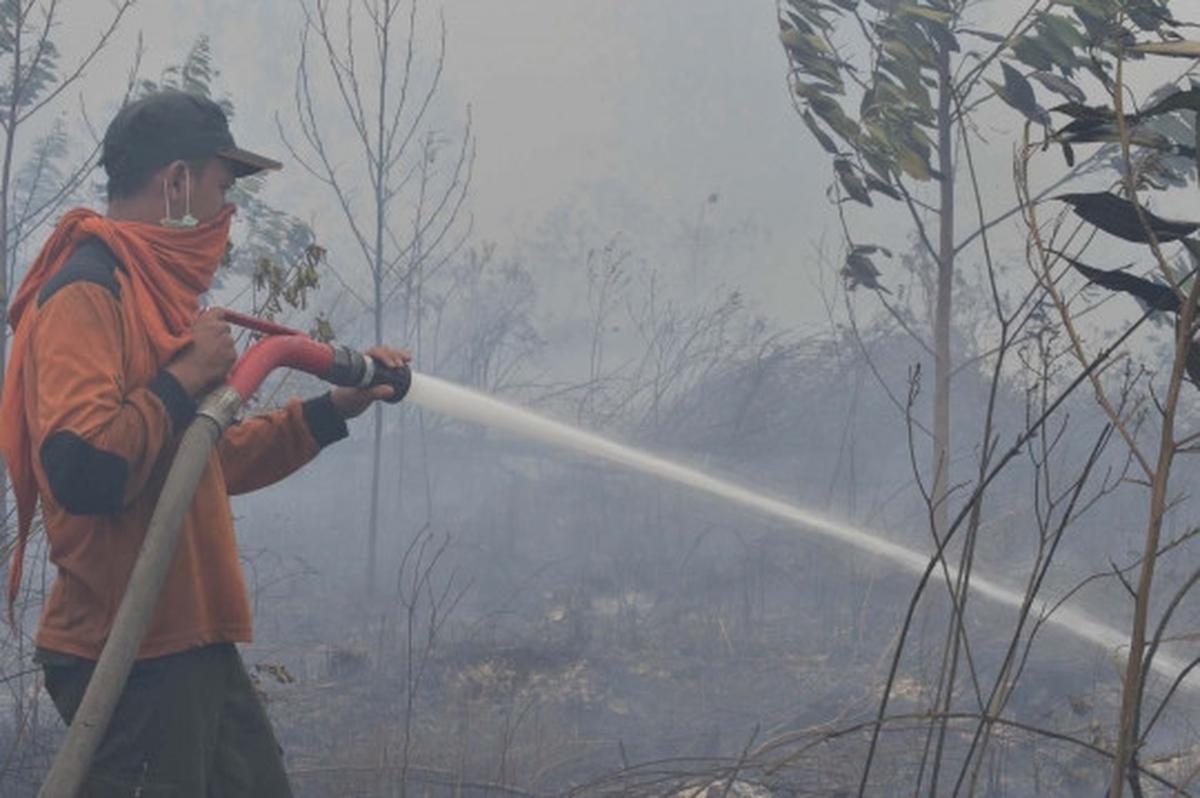 Aksi tim gabungan terobos asap tebal padamkan kebakaran hutan Riau