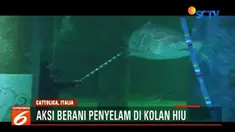 Satu hiu sepanjang tiga meter terlihat beberapa kali mendekati para penyelam sehingga harus diusir dengan tongkat.