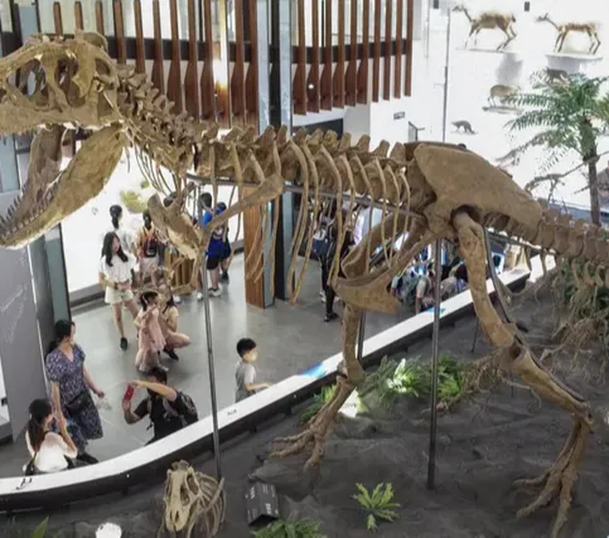 Pada tahun 2006 jumlah koleksi museum sudah melebihi 140.000 buah, meskipun hanya sepertiganya yang dapat diperlihatkan kepada khalayak.