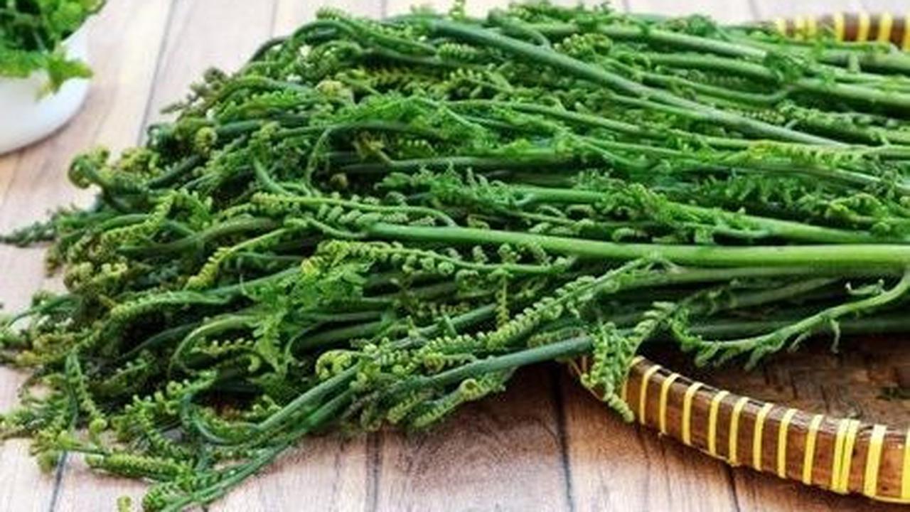 Tips Berbelanja Pakis Sayur