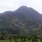 Gunung Merapi. (Liputan6.com/Reza Kuncoro)