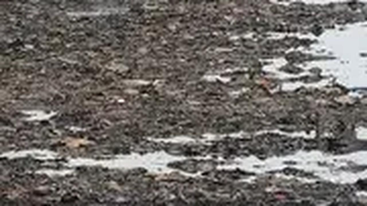 Dampak Kemarau Panjang, Warga Banyumas Buat Lubang di Dasar Sungai