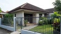 5 Bahan untuk Menutup Celah Pagar agar Ular Tidak Masuk Rumah, dari Kawat Kasa hingga Semen