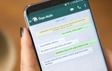 240 Nama Grup Kocak untuk WhatsApp, Bisa Jadi Pilihan