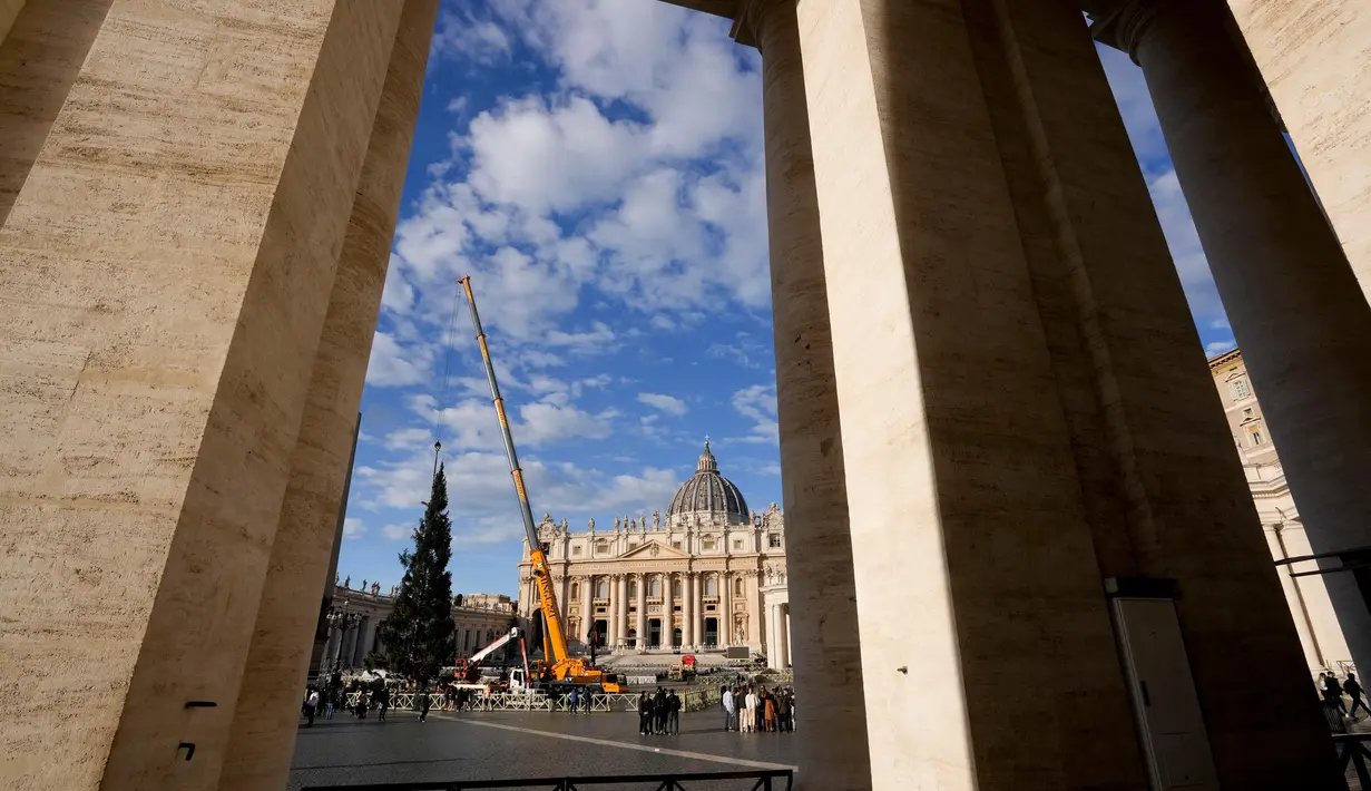 Tiang-tiang membingkai pemasangan pohon cemara raksasa di Lapangan Santo Petrus, Vatikan, Kamis 23 November 2023. (AP Photo/Andrew Medichini)
