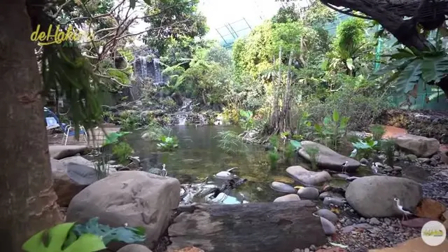 Bak Kebun Binatang, Ini 7 Potret Kandang Burung Milik Irfan Hakim