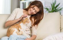5 Janji Allah SWT untuk Pecinta Kucing, dari Masuk Surga Hingga Rezeki Melimpah