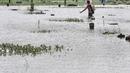 Amir (38) saat menjala ikan di genangan air yang merendam kompleks pemakaman TPU Semper, Jakarta, Selasa (2/2/2021). Banjir tersebut dimanfaatkan warga setempat untuk mencari ikan dengan menggunakan alat pancing serta jala. (merdeka.com/Iqbal S. Nugroho)