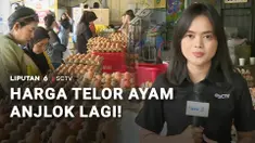 Harga telur ayam anjlok jauh dibawah harga acuan pembelian yang ditetapkan Pemerintah. Kabar baik bagi ibu-ibu tapi tidak untuk peternak.