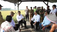 Menteri Pertanian (Mentan) Andi Amran Sulaiman mengunjungi Sumatera Selatan (Sumsel) yang memiliki potensi besar untuk pengembangan lahan rawa.