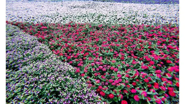 Taichung World Floral Exposition, Taiwan