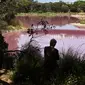 Pengunjung mengambil gambar danau yang berubah warna menjadi pink di Westgate Park, Melbourne, Australia, Senin (4/3). Saat berfotosintesis dan tingginya kadar garam, sungai ini akhirnya berubah warna dan akan kembali saat musim dingin. (William WEST/AFP)