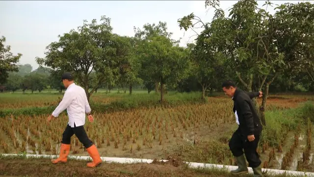 Kementan