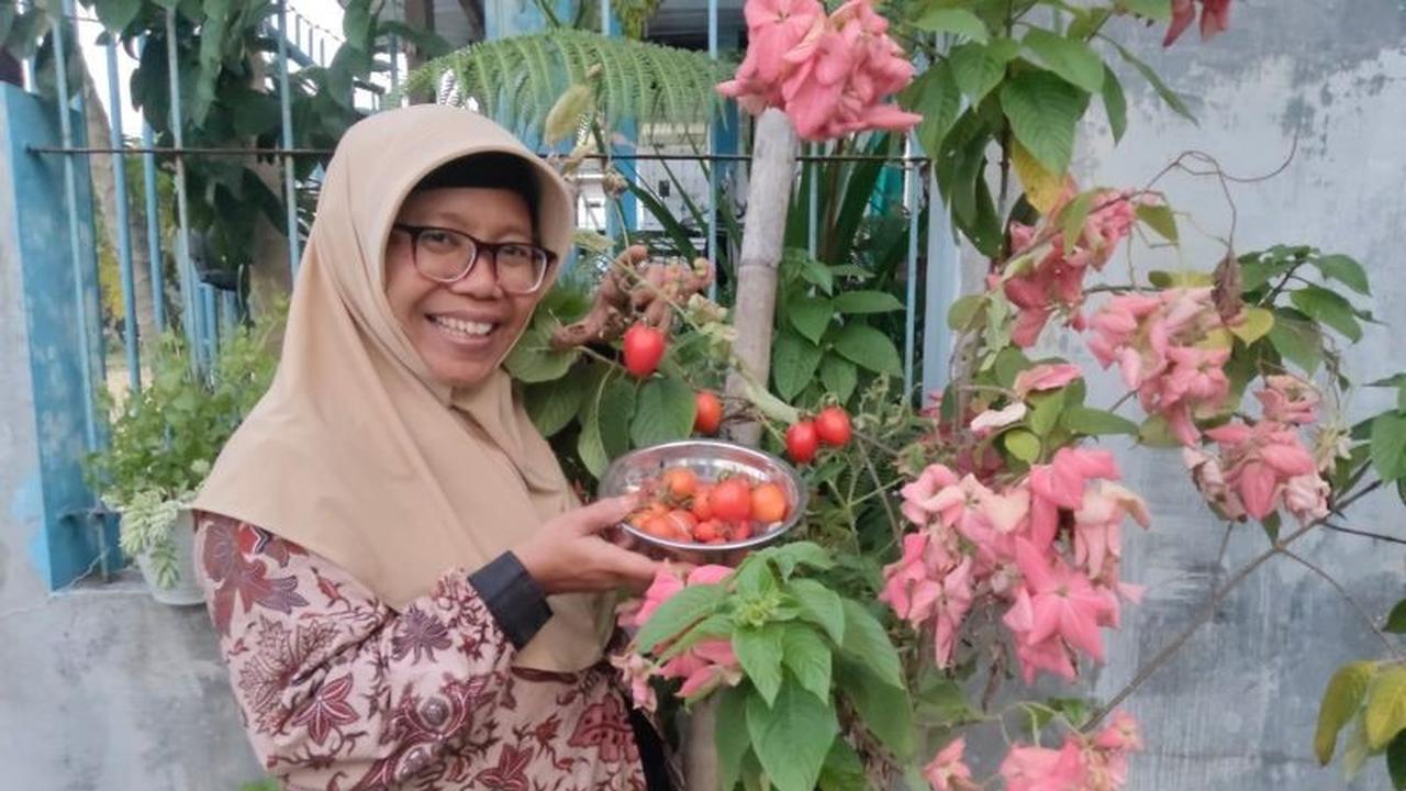 Terungkap! Ahli Unej Beri 6 Tips Jitu Kurangi Risiko Keracunan MBG, Salah Satunya Soal Suhu