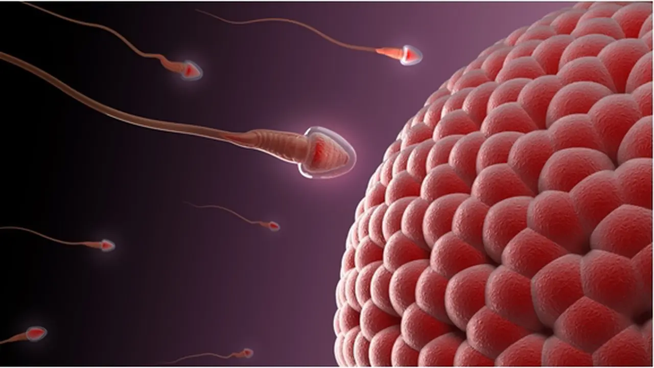 Foto: copyright shutterstock.com
