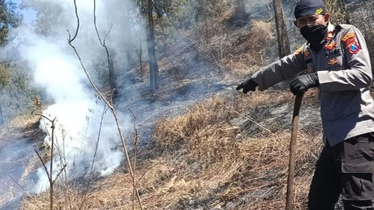 Karhutla di Gunung Arjuno Meluas, Tim Pemadam Kesulitan Hadapi Medan Terjal