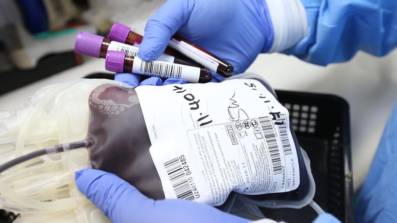 6 Fakta Golongan Darah A Wanita yang Jarang Diketahui, Rentan Penyakit Diabetes hingga Kanker