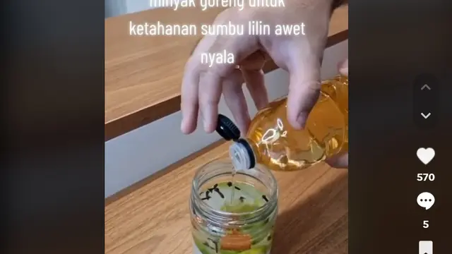 Bukan Obat Serangga, Begini Trik Ampuh Basmi Nyamuk dan Lalat dengan 1 Jenis Minyak