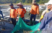 Transformasi Nusakambangan: Dari Pulau Penjara Menuju Pusat Ketahanan Pangan dan Pembinaan Warga Binaan