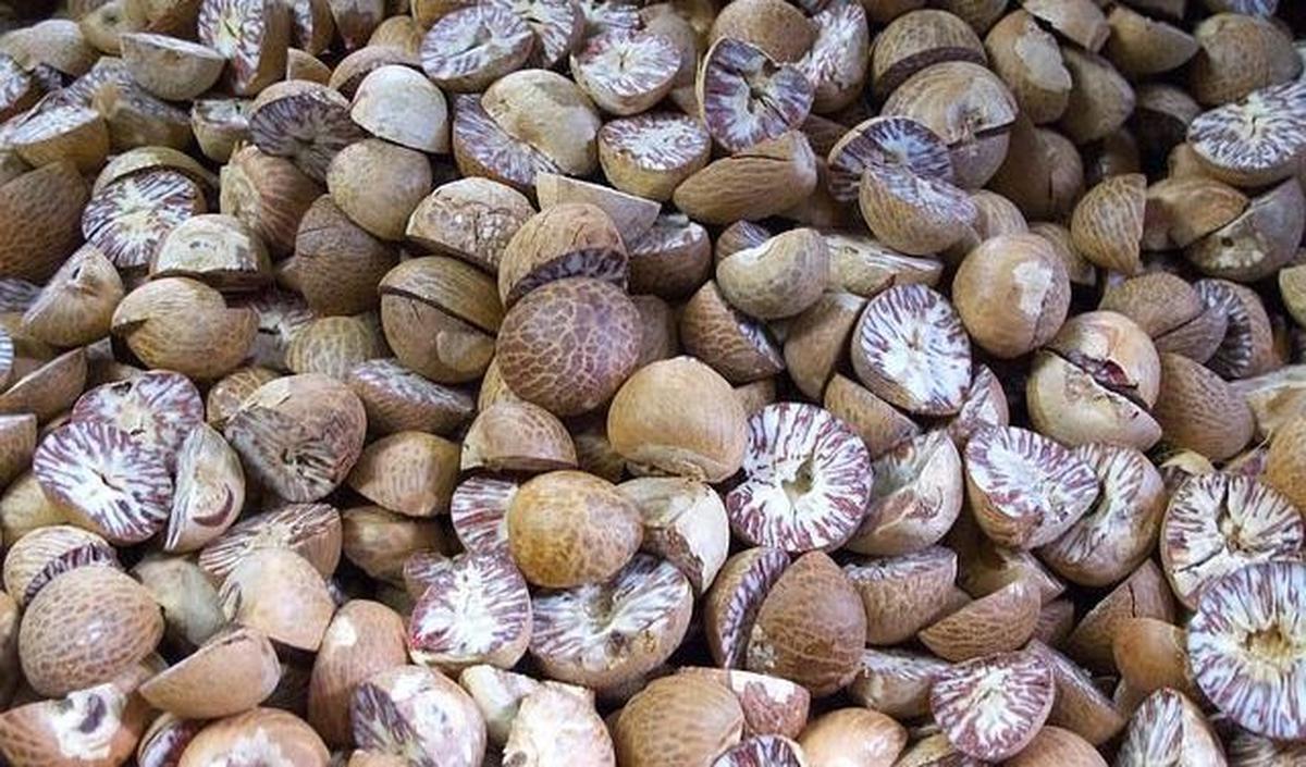 3.&nbsp;Buah Pala
