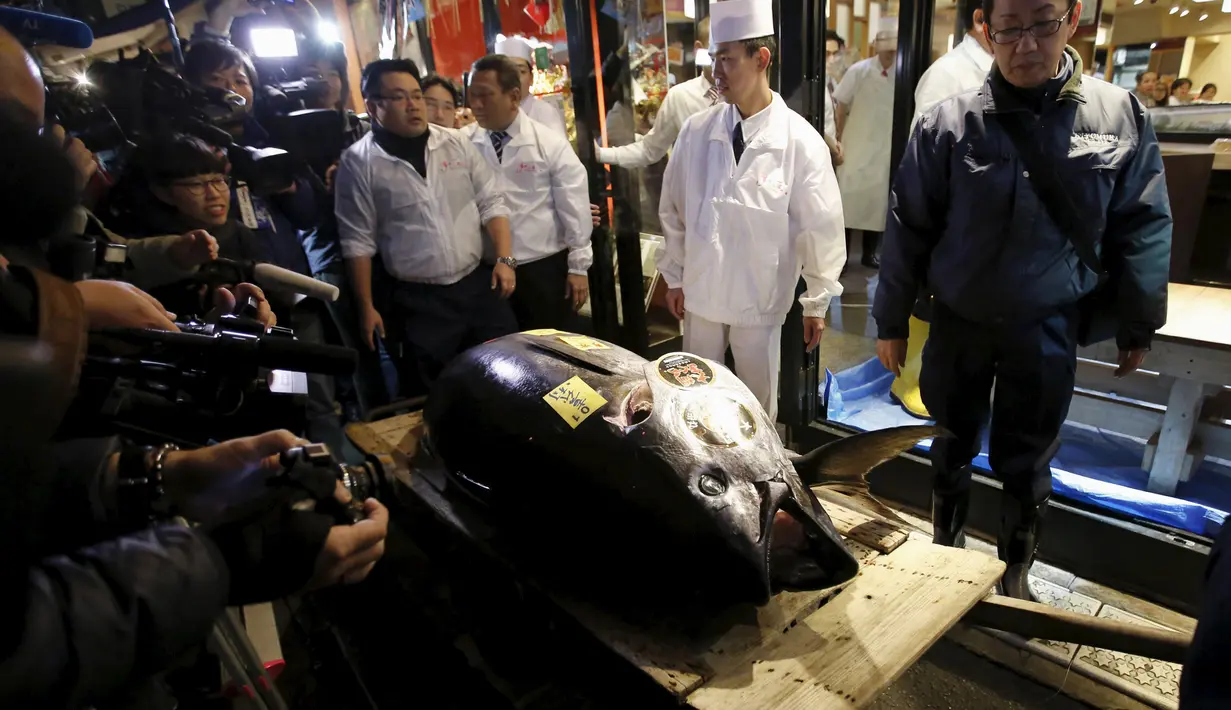 Karyawan restoran membawa tuna sirip biru dengan berat 200 kg dengan gerobak di Tsukiji, Tokyo, Jepang, Selasa (5/1).  Tuna sirip biru yang berhasil direbut Kimura menjadi yang terberat dan termahal pada lelang ikan pertama 2016. (REUTERS/Toru Hanai)