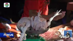 Fokus edisi (09/03) mengangkat beberapa topik pilihan sebagai berikut, Banjir Putus Jembatan, Warga Terisolir, Harga Daging Ayam Kian Melesat, Libur Panjang, Stasiun Senen Dipadati Penumpang.