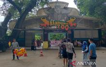 Gugatan Bandung Zoo: Akta YMT 2025 Diuji Keabsahannya, Libatkan Guru Besar dan Terdakwa Korupsi