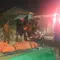 Jejak Terakhir Lilis Sebelum Ditemukan Tewas Terikat di Parit Bandar Lampung