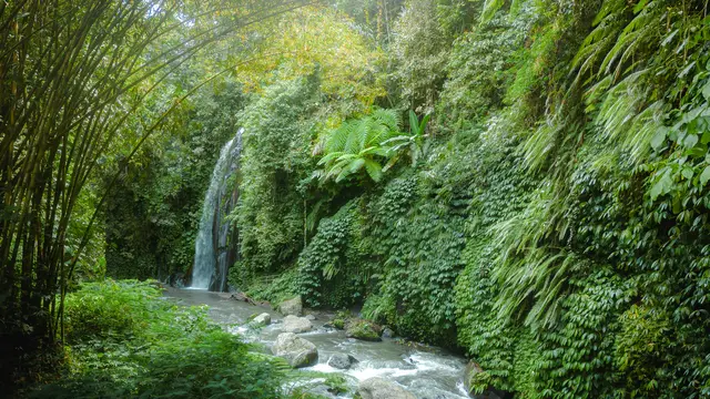 Buahan, A Banyan Tree Escape
