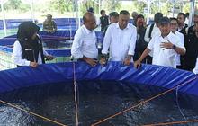 Menteri KKP Tinjau Budi Daya Ikan Lele Bioflok, Perkuat Ekonomi Desa dan Ketahanan Pangan