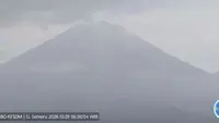 Semeru Bergemuruh, Puluhan Gempa Tercatat dalam Hitungan Jam