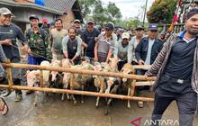 Tradisi Sadranan Dusun Pete Kandangan: 94 Kambing Disembelih untuk Hormati Leluhur dan Wujud Syukur