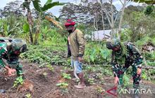 Lebih dari Sekadar Senjata: Satgas Yonif 521 Bantu Warga Kelila Tanam Sayur, Perkuat Ketahanan Pangan Papua