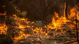 Sebuah papan penanda wilayah lahan milik masyarakat ikut terbakar saat peristiwa kebakaran di kawasan Rocky Fire, San Francisco, California, Kamis (30/7/2015). Wilayah ini terbakar sejak rabu sore. (REUTERS/Max Whittaker)