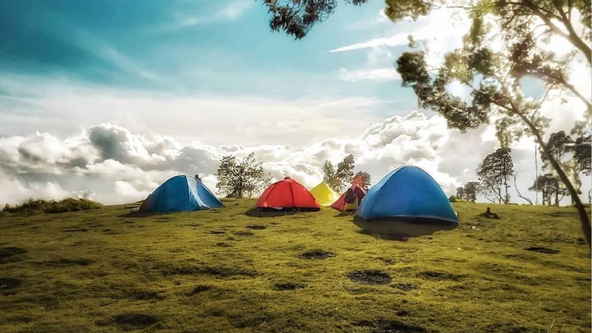 Top 3 Berita Hari Ini: Kata Fiersa Besari soal Booking Lahan Kemping, Pentingnya Komunikasi dan Tanggung Jawab Pihak Tur Operator