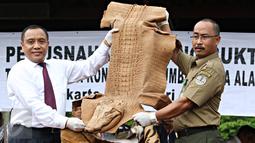 Petugas Bareskrim Polri menunjukkan kulit buaya saat pemusnahan barang bukti bagian hewan yang dilindungi, Jakarta, Selasa (2/2). Barbuk berupa kulit, tulang dan taring harimau, kerapas penyu, off set penyu dan kulit buaya (Liputan6.com/Immanuel Antonius)