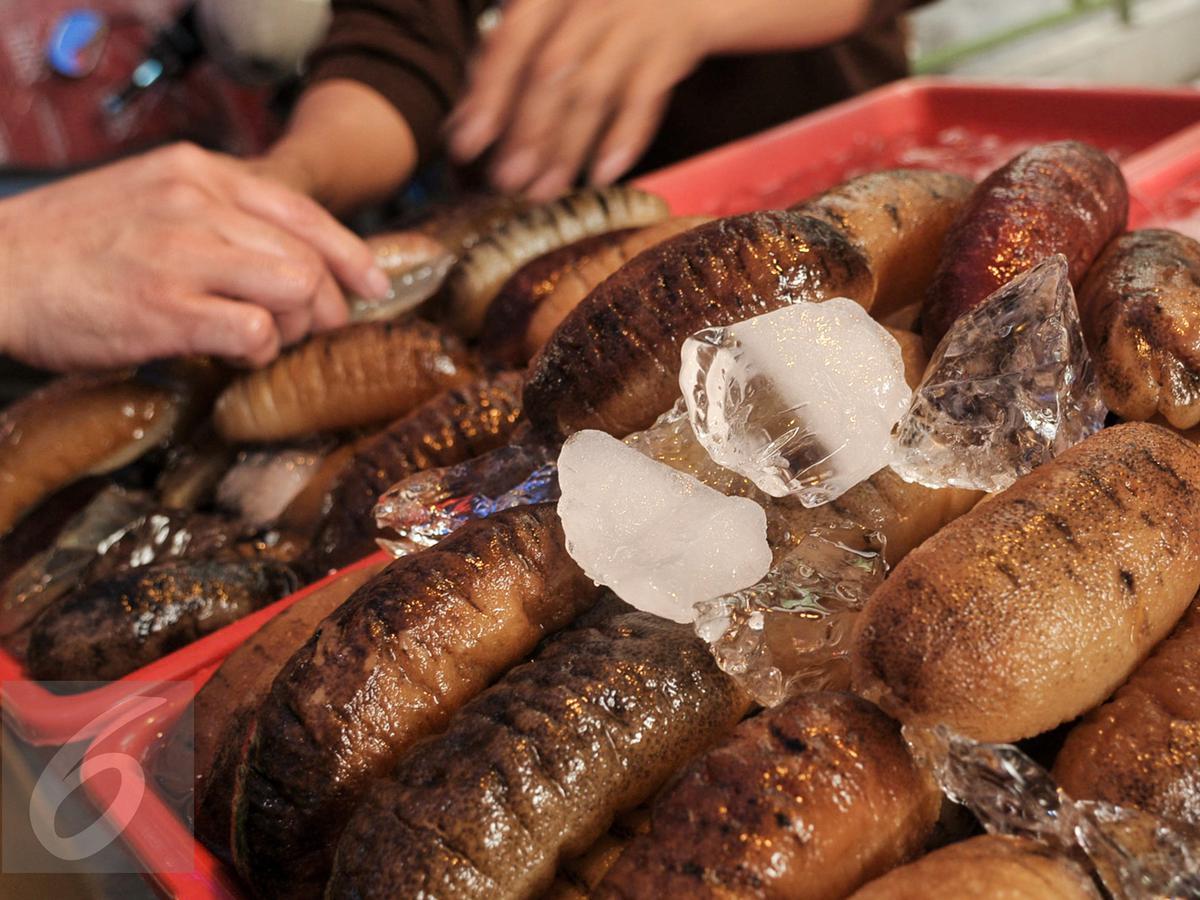 9 Manfaat Teripang Emas bagi Kesehatan, Bisa Mencegah ...