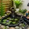 Cara Membuat Kolam Mini yang Tidak Cepat Kotor, Ikuti 8 Langkah Ini agar Air Jernih & Ikan Sehat