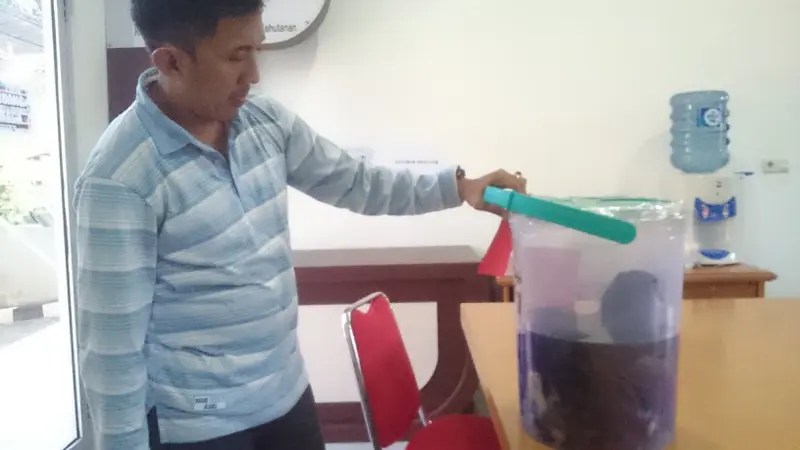Kulit Harimau Sumatera yang diamankan BKSDA Sumsel (Liputan6.com/Nefri Inge)