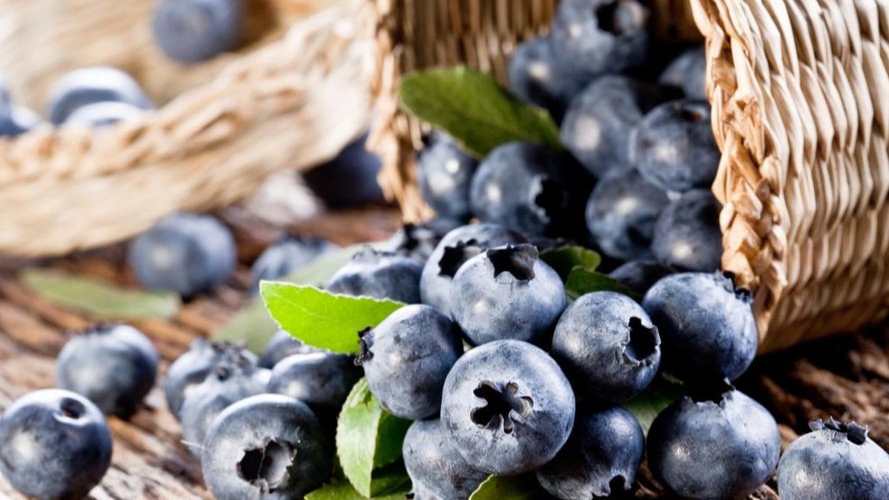 3. Buah Bluberi<br>